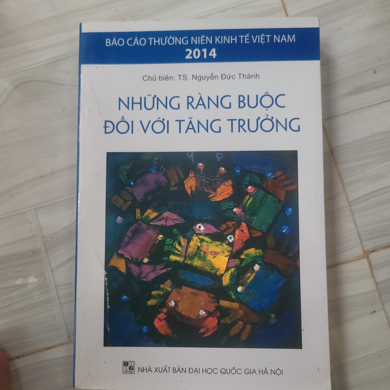 Những ràng buộc đối với tăng trưởng 332206