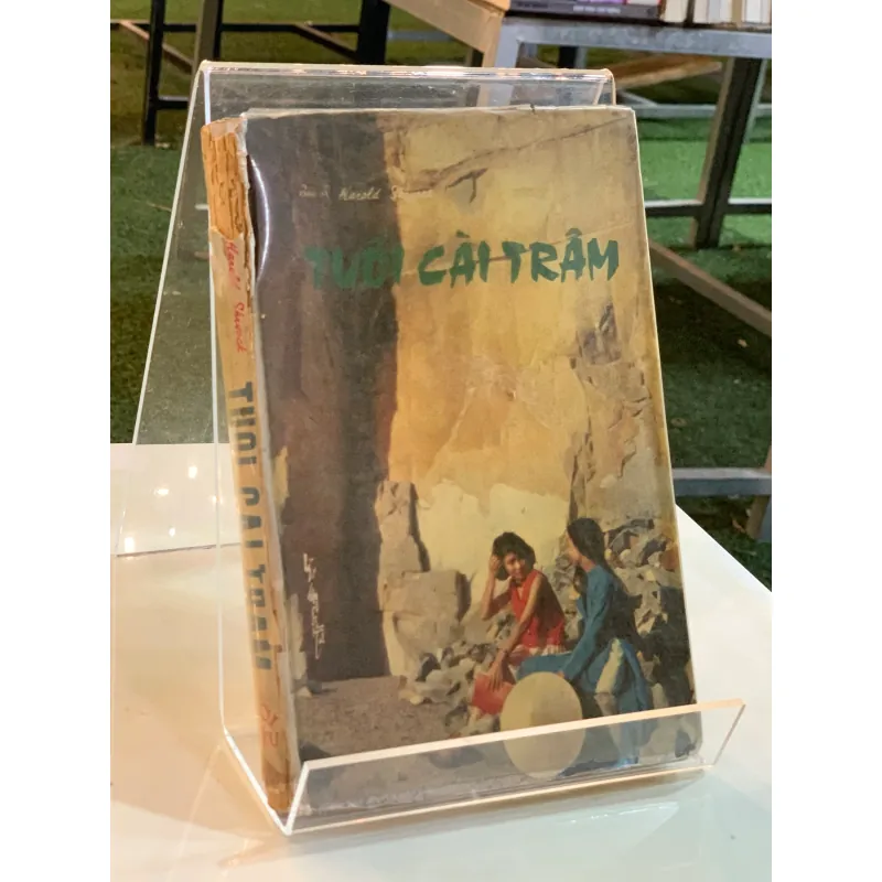 TUỔI CÀI TRÂM - BÁC SĨ HAROLD SHRYOCK 930720