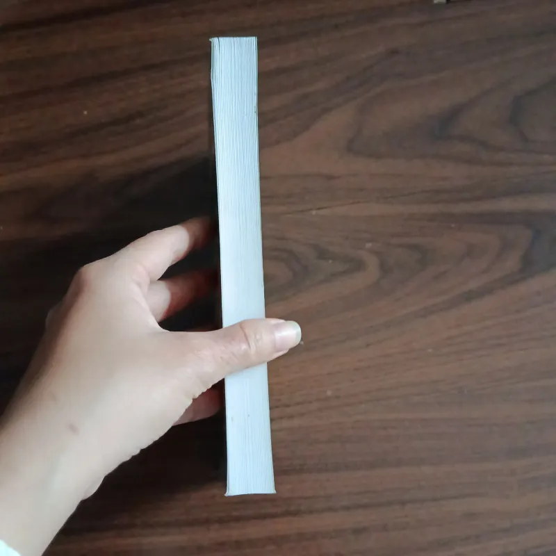 Nghìn năm vương triều - hoàng đình long 778112