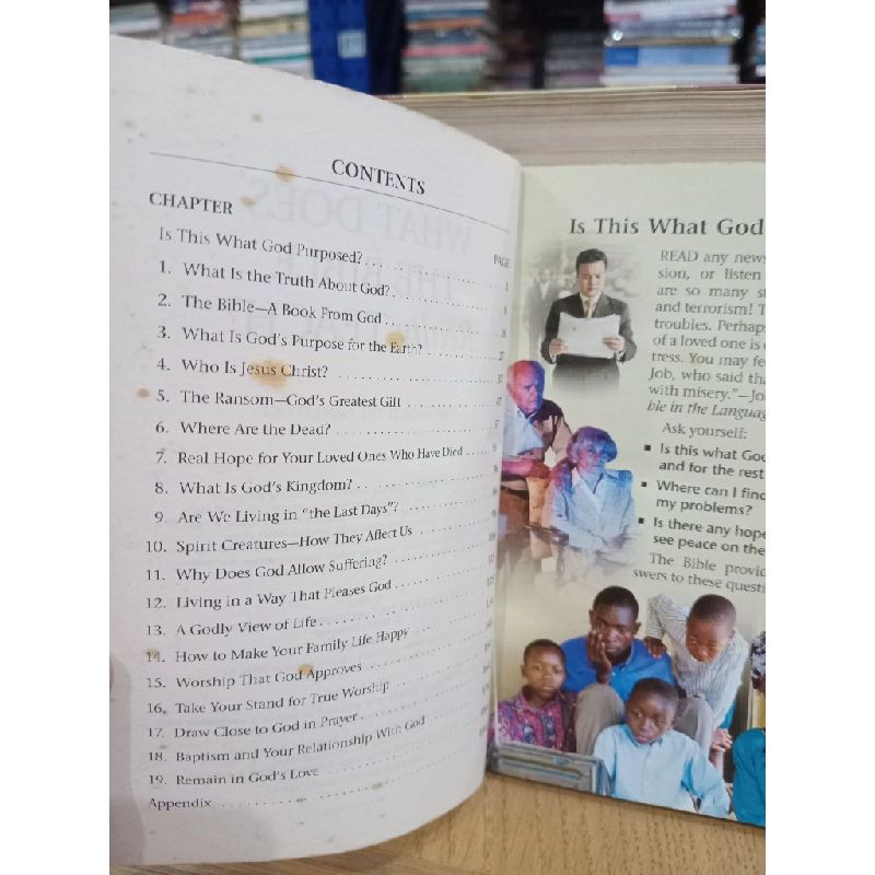 What does the bible really teach? 537906