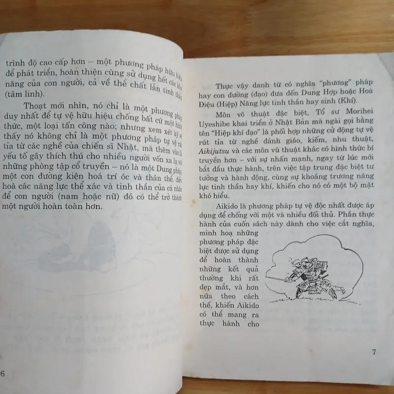 Võ Thuật Aikido - Võ Sư Oratti 957041