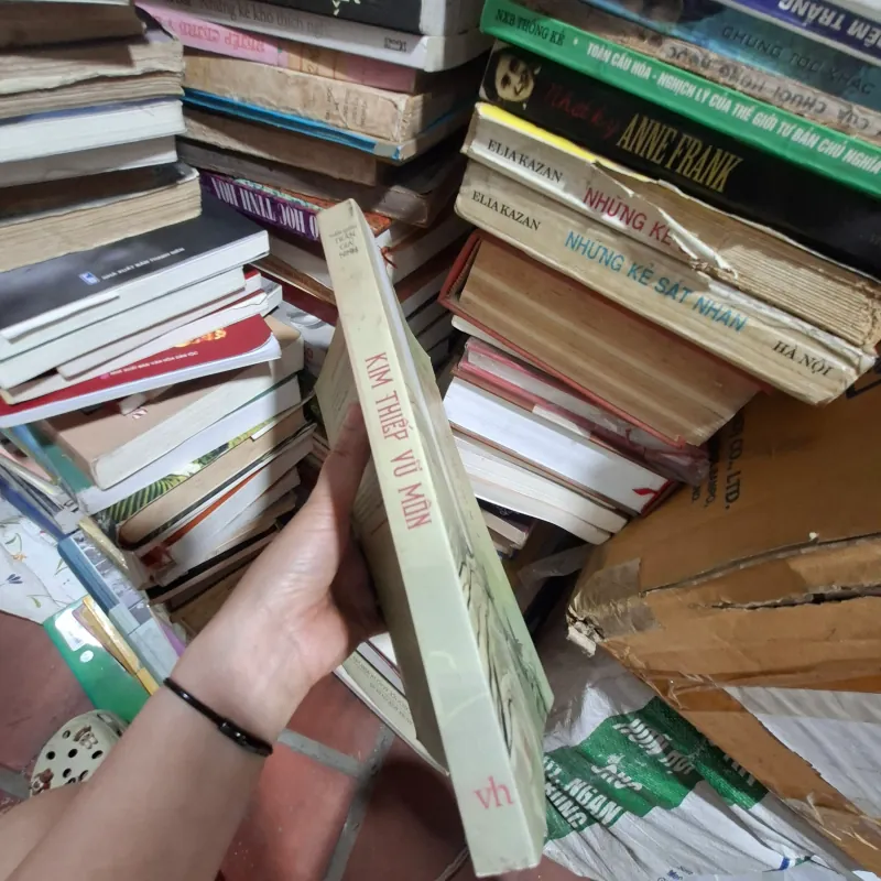 Kim thiếp vũ môn 931971