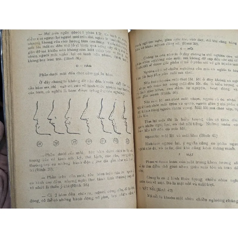 Bí mật đời người qua tướng mạo và sắc diện - Josef Ranald ( Ngũ Văn Bằng ) 713619