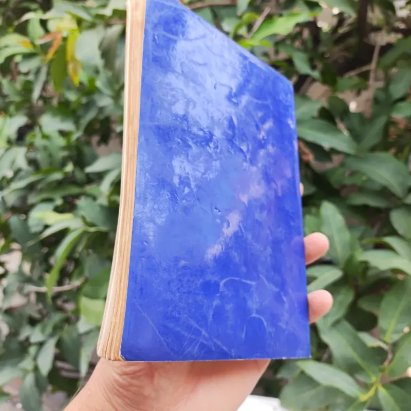 Bonsai Cây Kiểng Cổ - Trần Hợp 925345