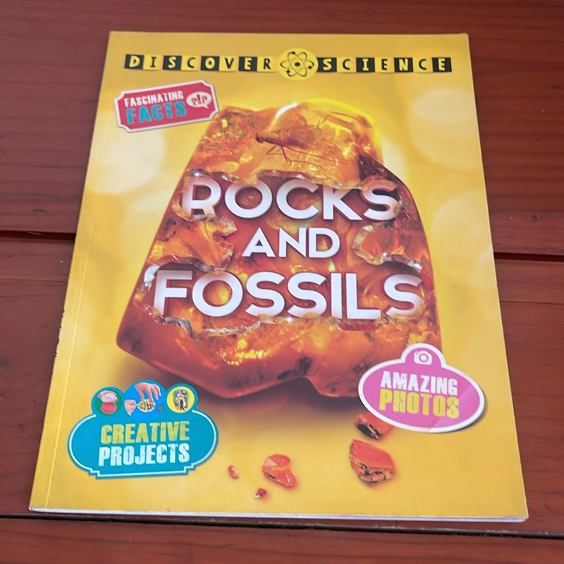 PICTURE BOOK Rocks and fossils 536674