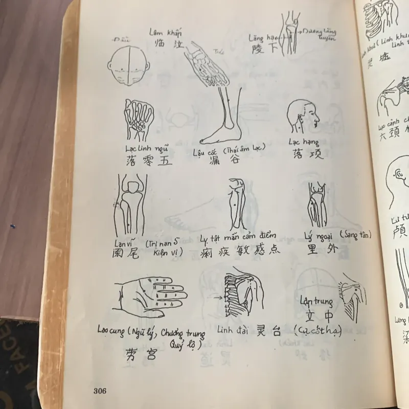 Hướng dẫn tra cứu châm cứu, Dương Trọng Hiếu 608243