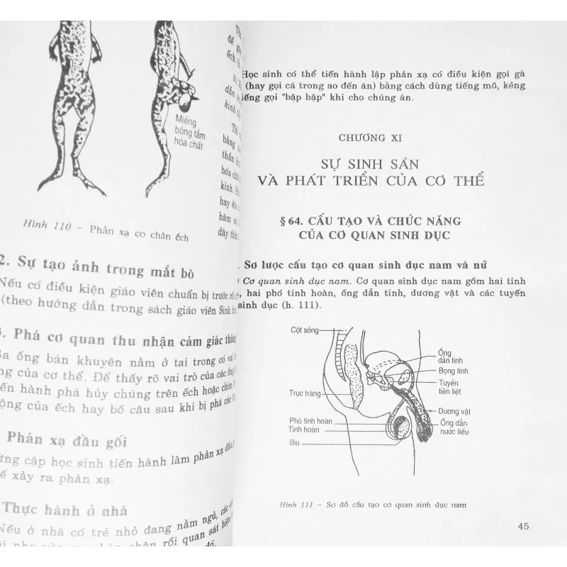 Sinh học lớp 9 xưa (Tập hai) 15839