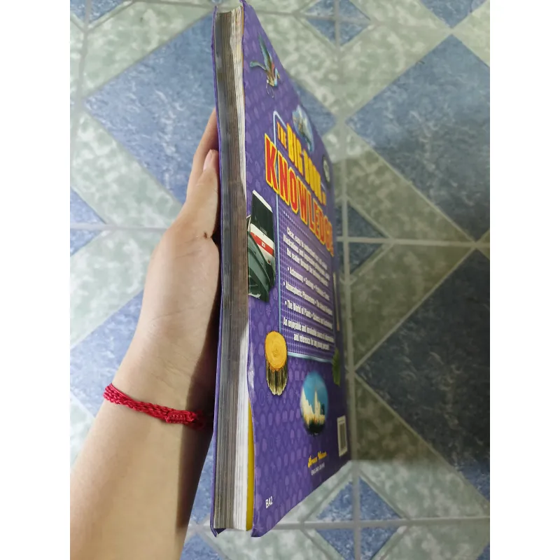 The big book knowledge - a children's enyclopedia 789405