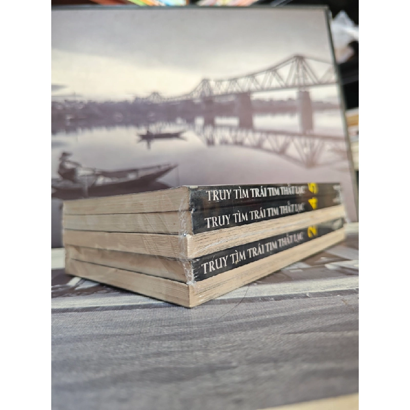 Truyện tranh truy tìm trái tim thất lạc 460841