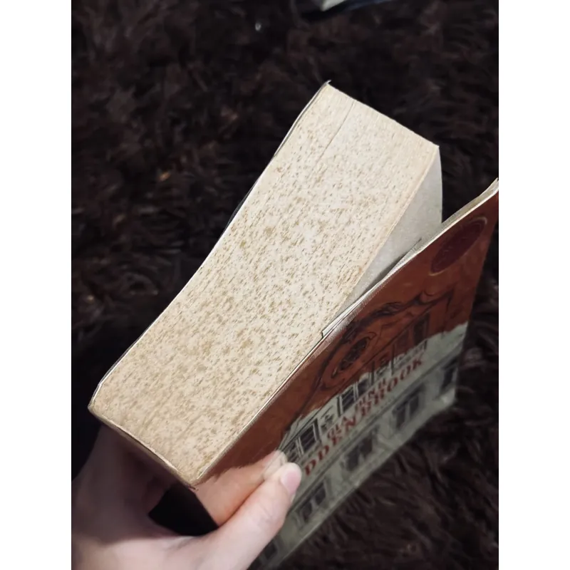 Gia đình Budden Brook 997967