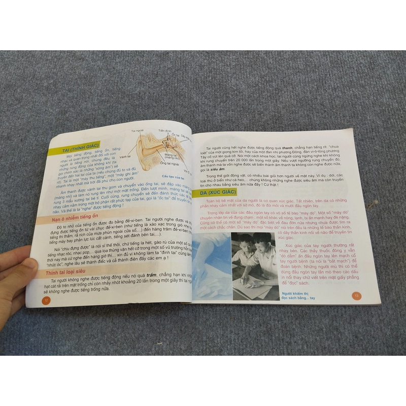CƠ THỂ NGƯỜI 549894