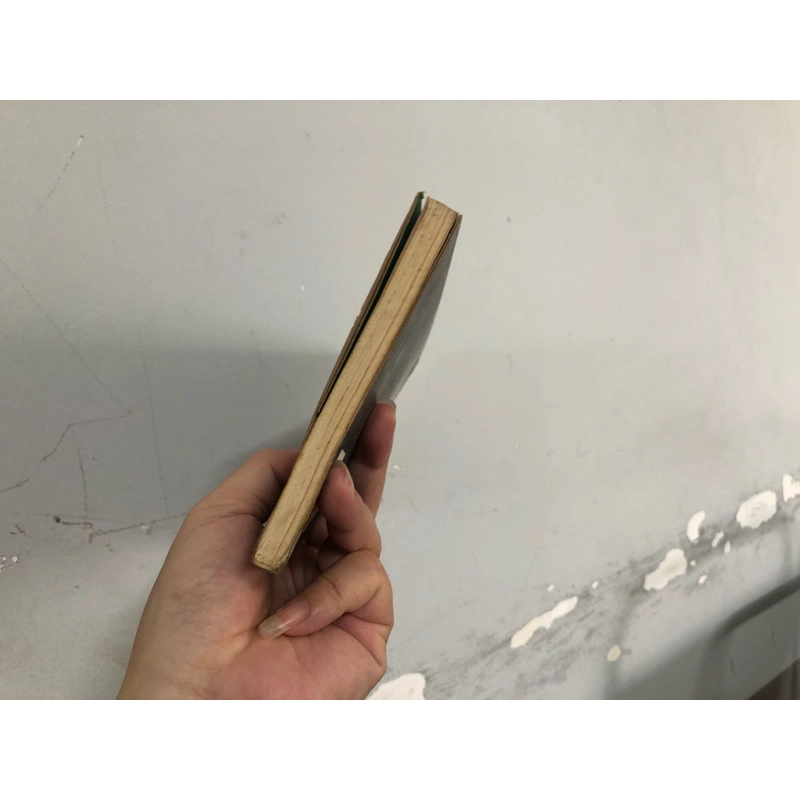 Cũng đành - Dương Nghiễm Mậu (sách còn đẹp) 334299
