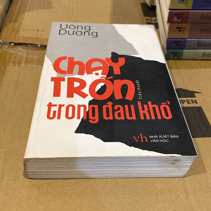 CHẠY TRỐN TRONG ĐAU KHỔ (XB 2009) 521626