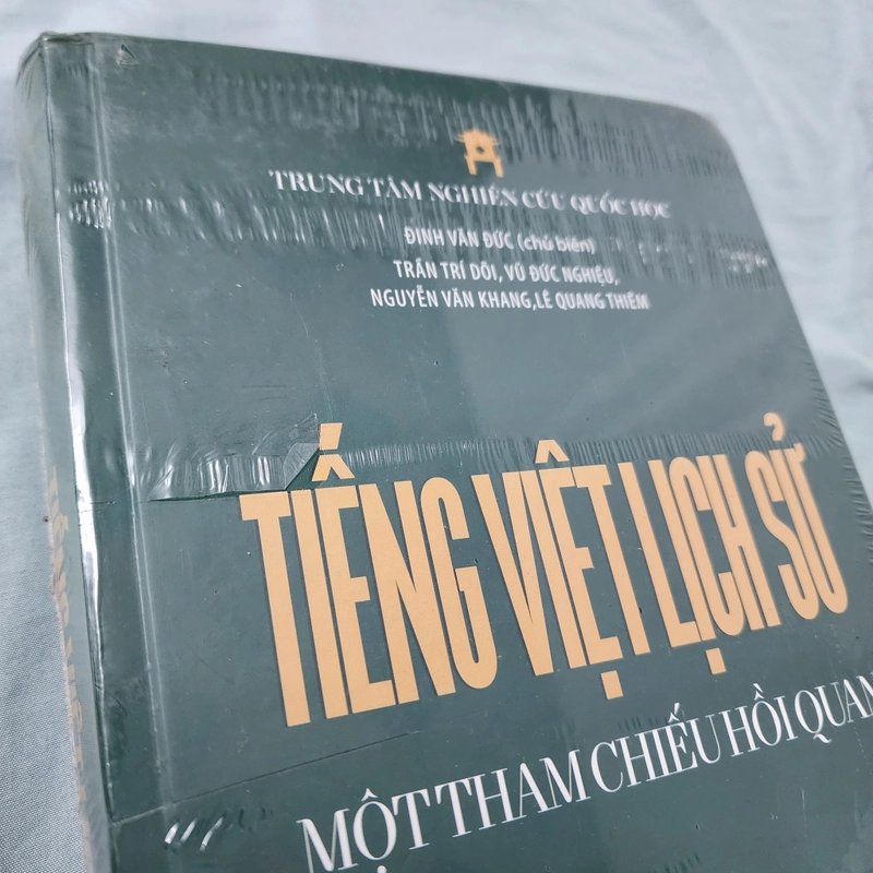Tiếng Việt lịch sử một tham chiếu hồi quan | Đinh Văn Đức chủ biên 498501