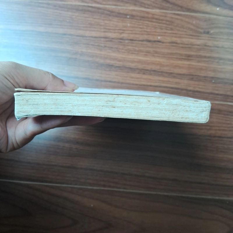 Cô gái và hoa cẩm chướng 505784