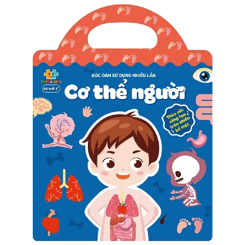 Bóc Dán Sử Dụng Nhiều Lần - Cơ Thể Người (2025) - Đinh Tị 717248