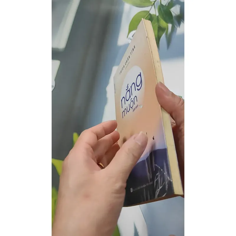 Nắng Muộn - Đậu Bảo 776107