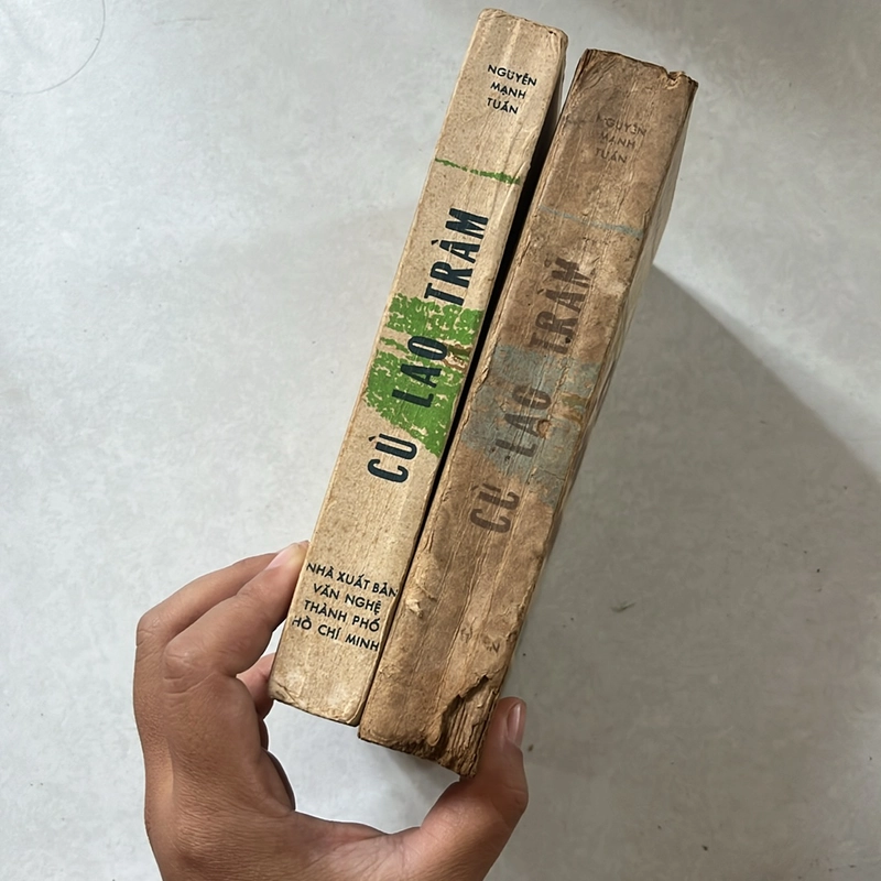 Cù lao tràm - Nguyễn Mạnh Tuấn 498896