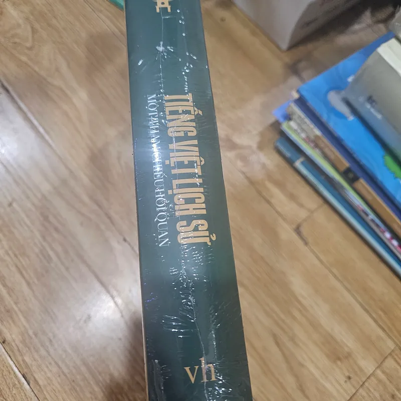 Tiếng Việt lịch sử dụng (bìa cứng)
150k 562743