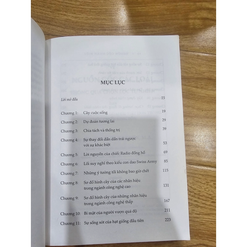 Nguồn gốc Nhãn hiệu  446705