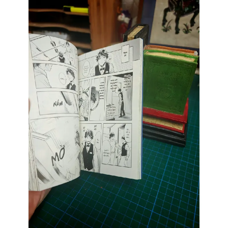 Truyện tranh Grapefruit Moon - Tomo Serizawa 697806