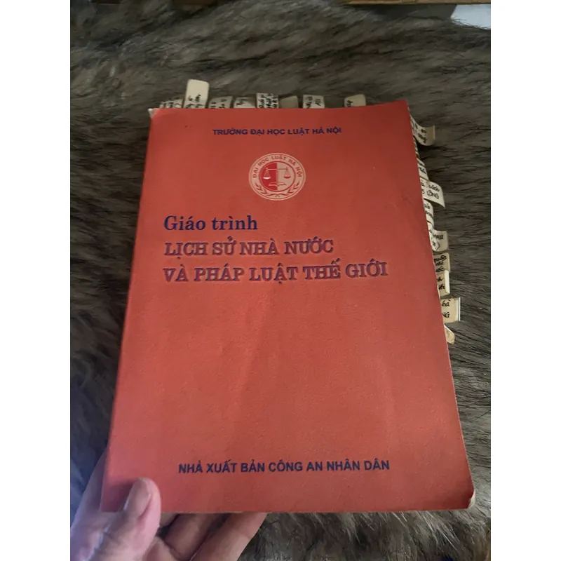 Giáo trình lịch sử Nhà nước và Pháp luật thế giới 559135