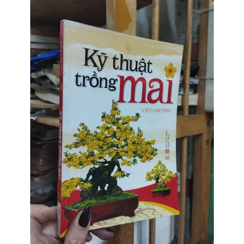 Kỹ thuật trồng mai - Việt Chương 381396