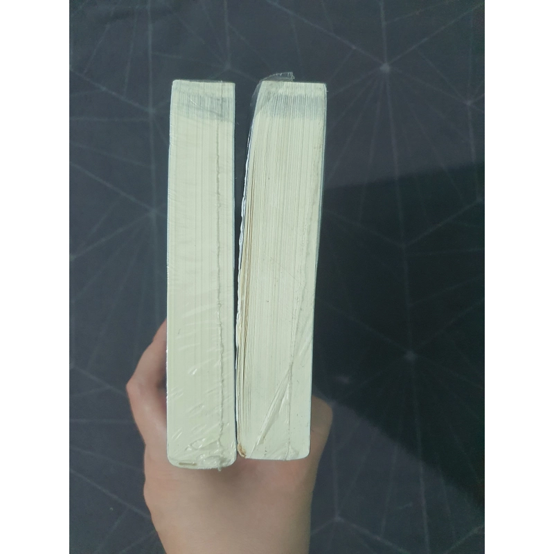 "Yêu nhau rồi cũng trở về với nhau" (seal) - Mộc Tú Miêu Miêu 492921