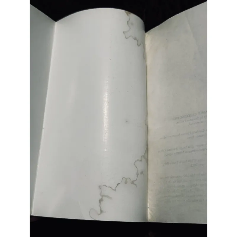 Combo đấu trường sinh tử 974687