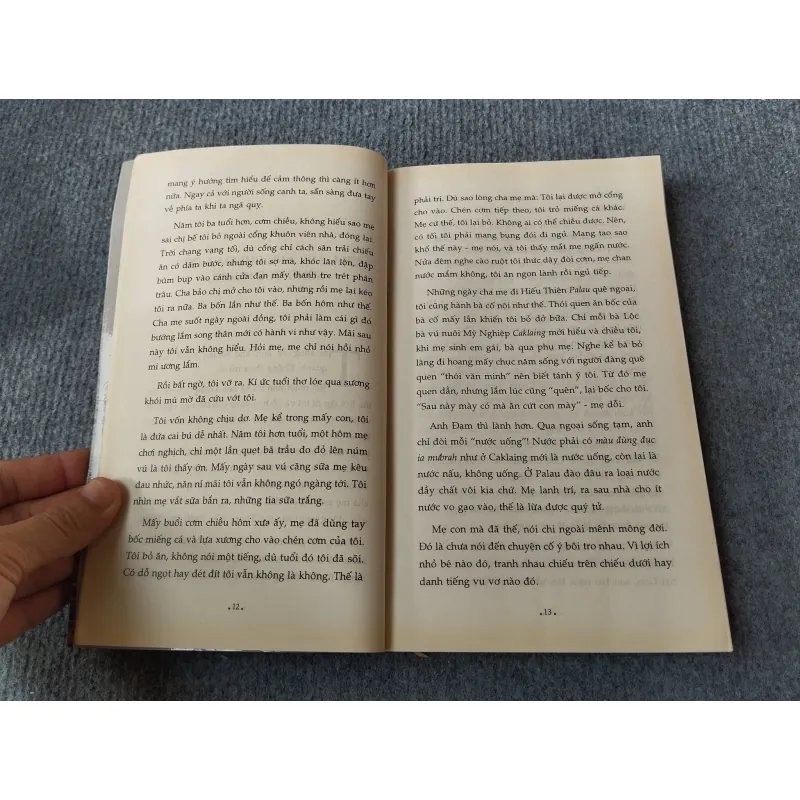 HÀNG MÃ KÝ ỨC - INRASARA 694778