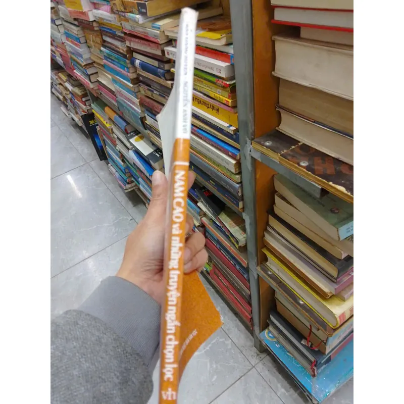 sách Nam Cao và những truyện ngắn chọn lọc  (B1) 701621