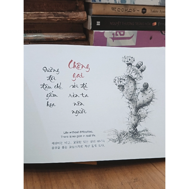 Bùn: Muddy Pond - Thích Chân Tính 998319