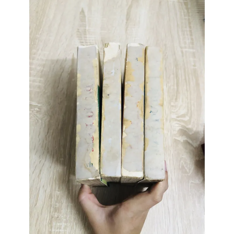 Combo 4 cuốn Tây Du Ký – NXB 1989, Ngô Thừa Ân 925833