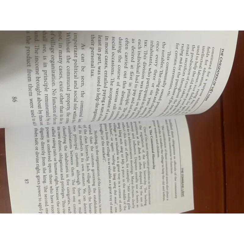 The Civilization of Việt Nam 956963