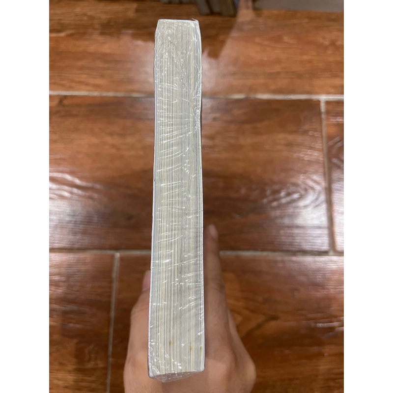 THƯ TÌNH GỬI MỘT NGƯỜI - Trịnh Công Sơn (9) 519538