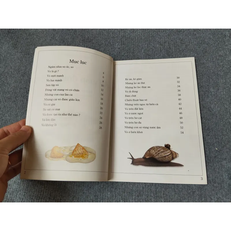 ÁO GIÁP ĐỘNG VẬT 720729