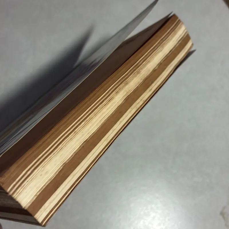 Gỡ rối cho người lập trình Visual Basic 781519