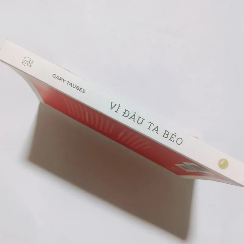 Vì Đâu Ta Béo 934077