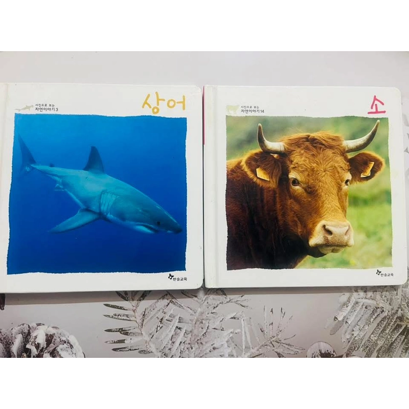 𝐒𝐚́𝐜𝐡 𝐚̉𝐧𝐡 𝐯𝐞̂̀ 𝐭𝐮̛̣ 𝐧𝐡𝐢𝐞̂𝐧 tiếng Hàn 사진으로 보이는 자연 이야기  496926