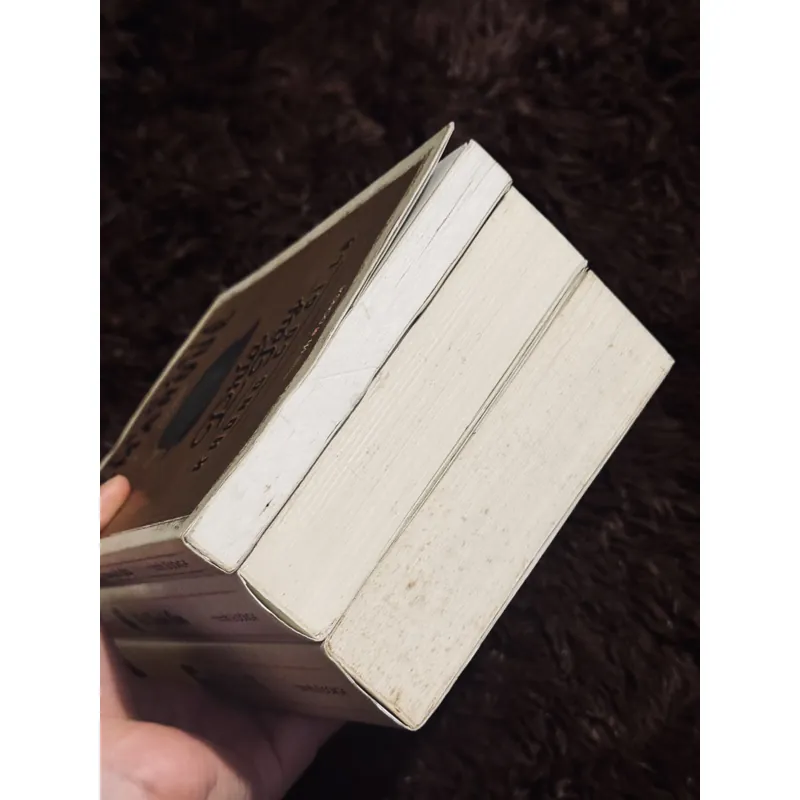 Combo 3c Erich Maria Remarque 712063