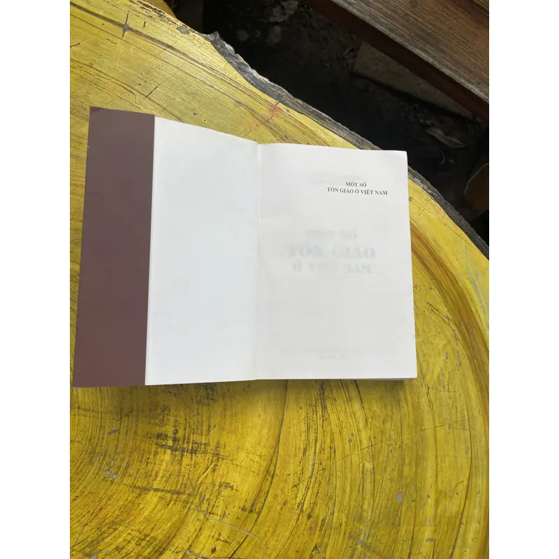 MỘT SỐ TÔN GIÁO Ở VIỆT NAM- NGUYỄN THANH XUÂN 602652