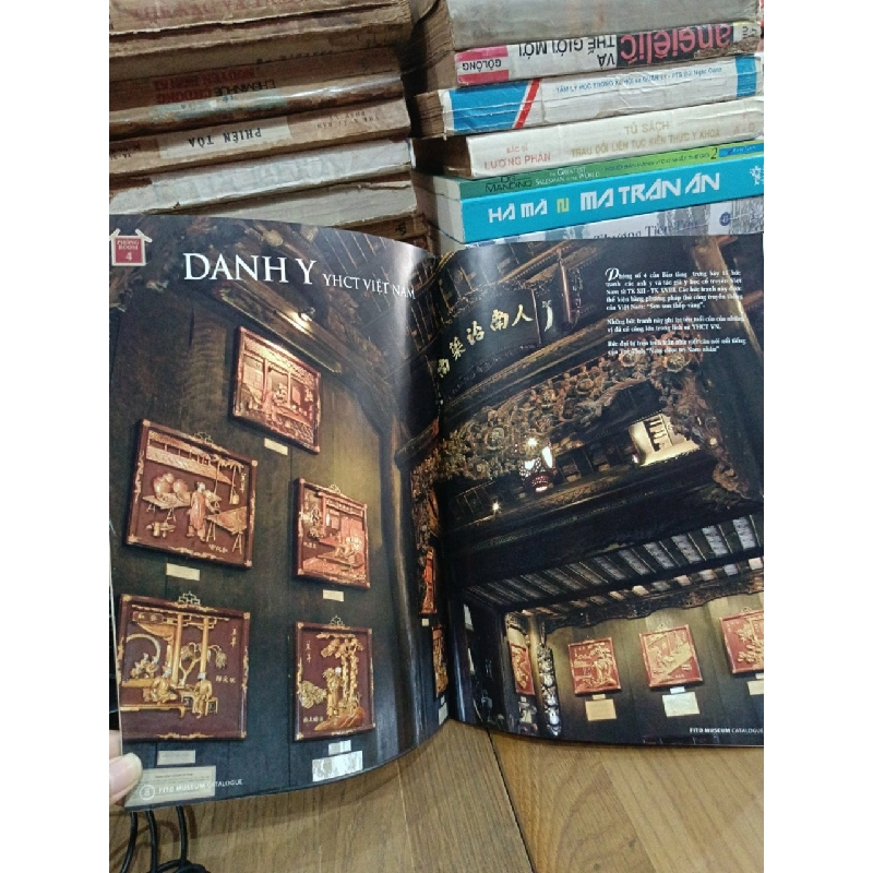 Y học cổ truyền Việt Nam - TS. Lê Khắc Tâm 784461