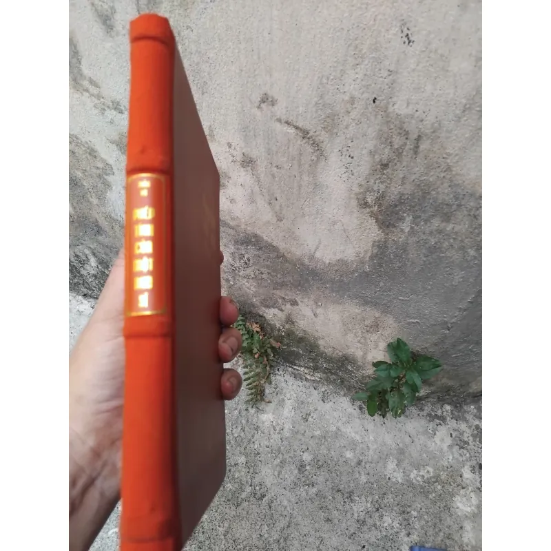 Phép tính của một nho sỹ của Trần Vũ  1004687