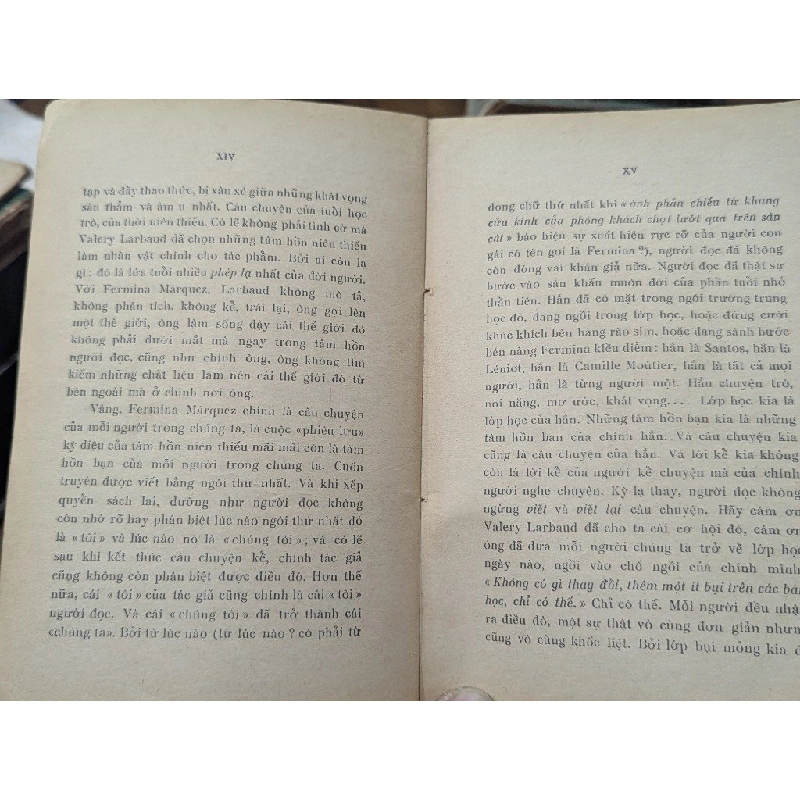 Tình yêu và tuổi trẻ - Valery larbaud ( bản dịch Huỳnh Phan Anh ) 999879