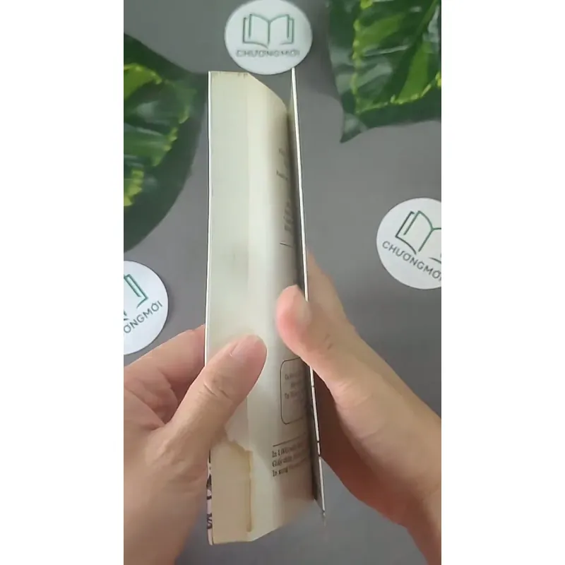 Chênh Vênh Hai Lăm - Nguyễn Ngọc Thạch 604610