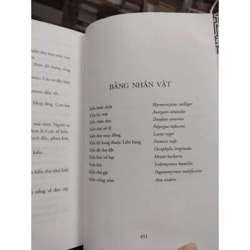 Sách: Kiến (A1) - Tác giả: Bernard Werber 658251