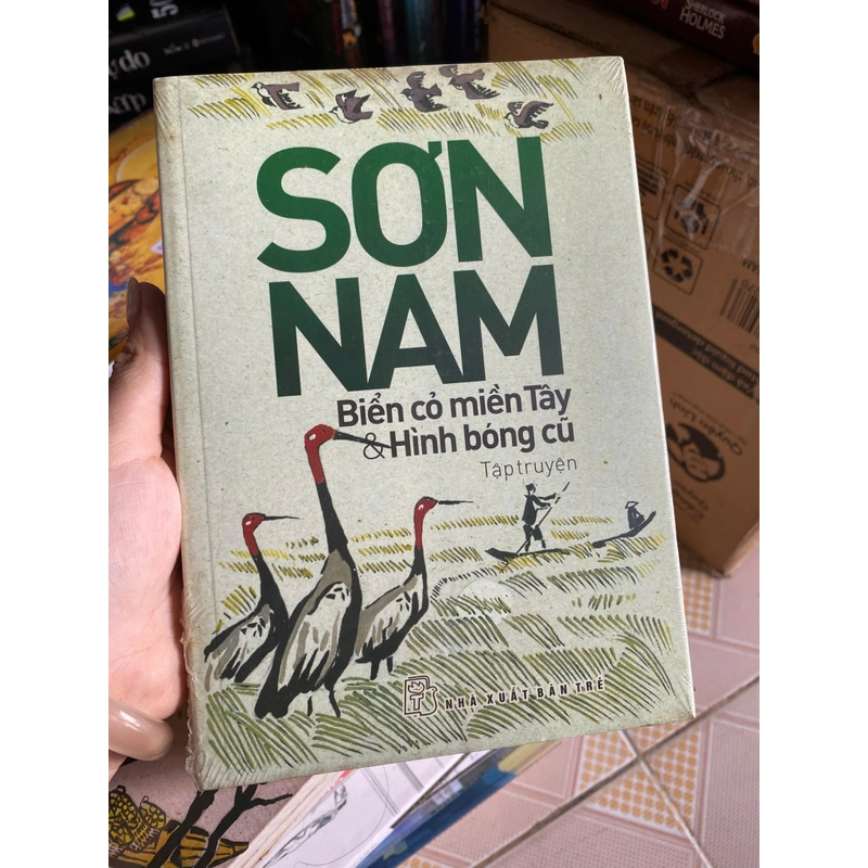 Biền cỏ và hình bóng cũ  533657