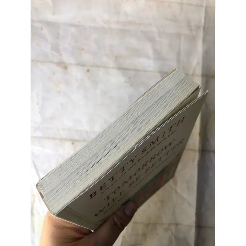 Tomorrow Will Be Better Bình Minh Trên Phố Brooklyn - Betty Smith 775843