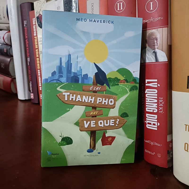 Ở lại thành phố hay về quê - Mèo Maverick 479652