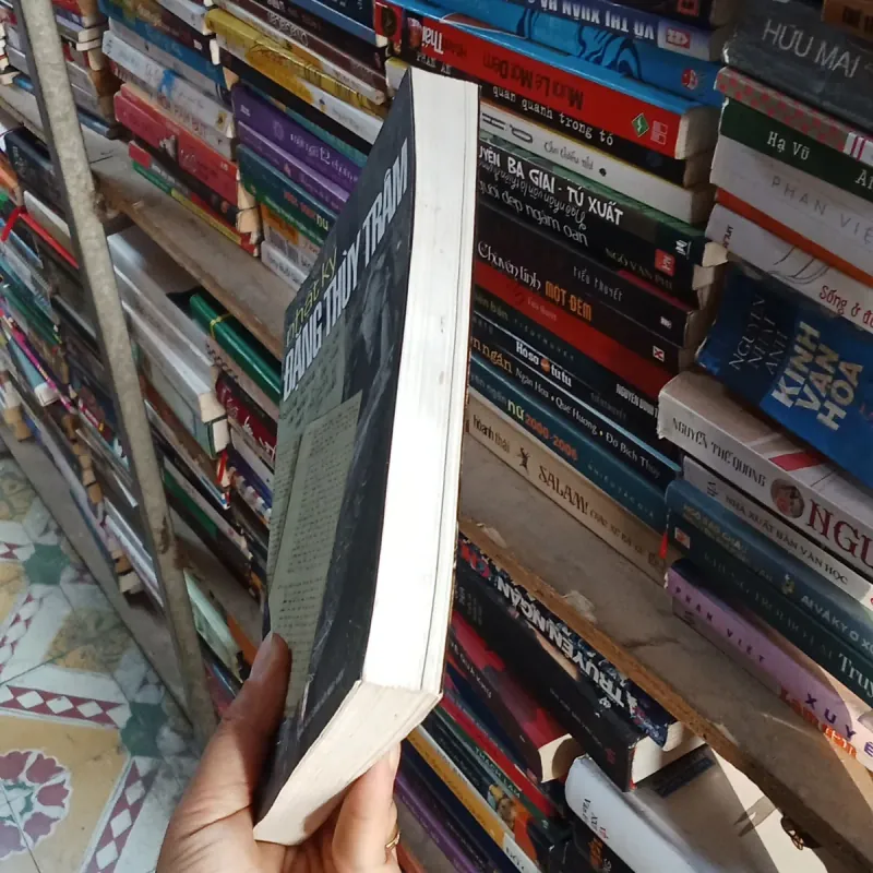 Nhật Ký Đặng Thùy Trâm  788351